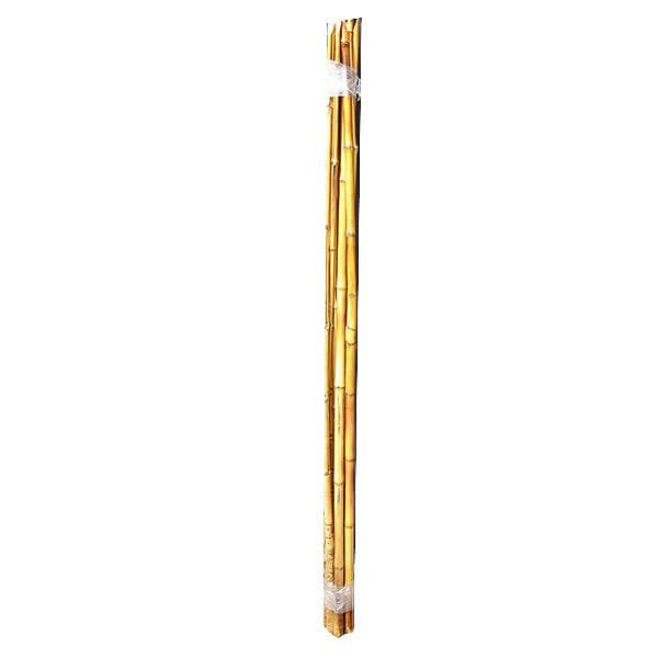 Caña Decorativa 150 Cm Bambú La Cioppa