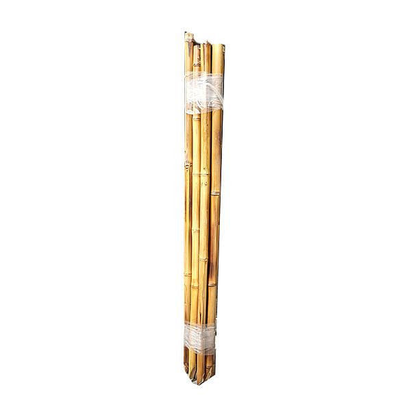 Tutor Caña Decorativa 90 Cm Bambú La Cioppa