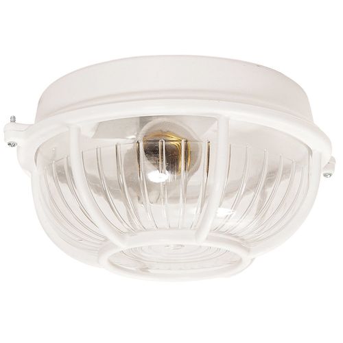 Tortuga Redonda Blanca Fap