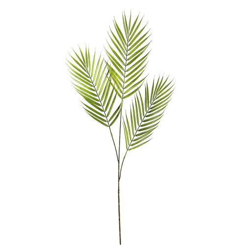 Vara De Areca