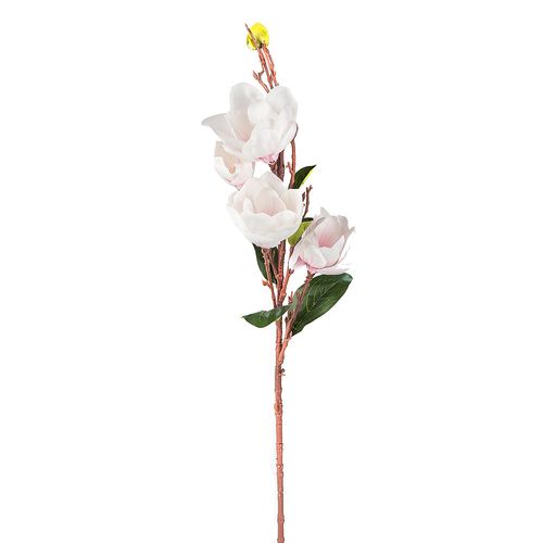 Vara De Magnolia