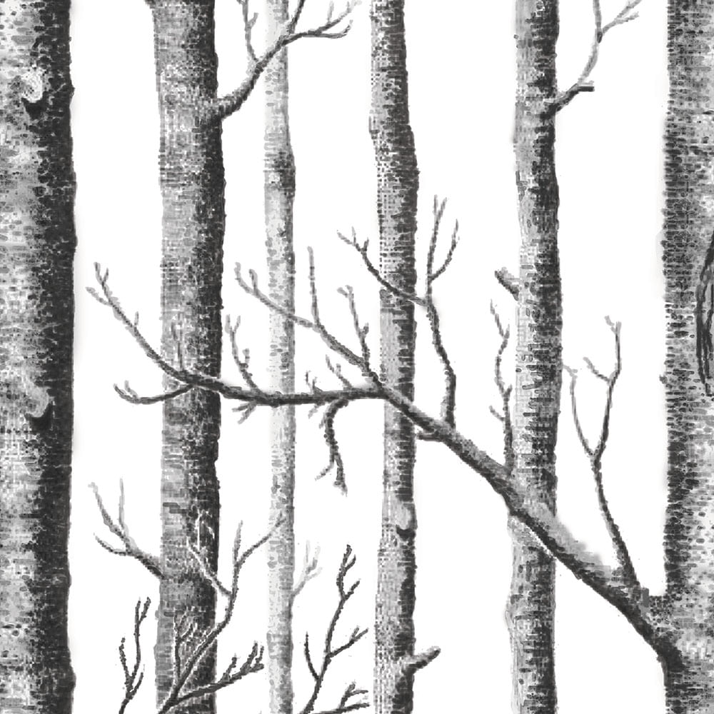 Empapelado Vinílico Blanco y Negro 0,52x10 Mts Árboles Muresco