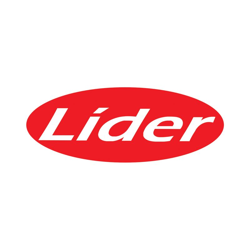 Logo-LIDER