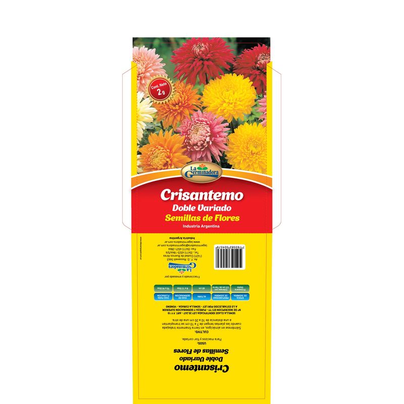 SOBRE-CRISANTEMO