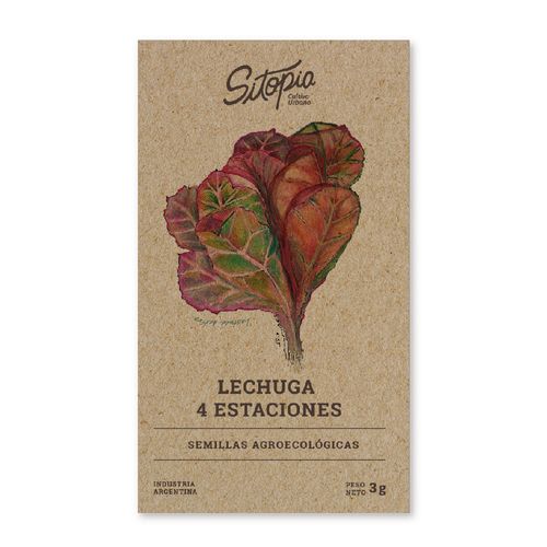 Semillas Agroecológicas Lechuga 4 Estaciones 6 Grs CEC