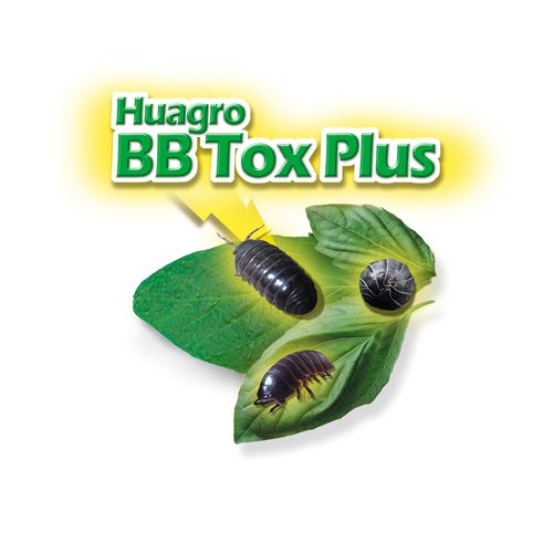 Insecticida Granulado Bicho Bolita 100 Grs Huagro Bb-Tox