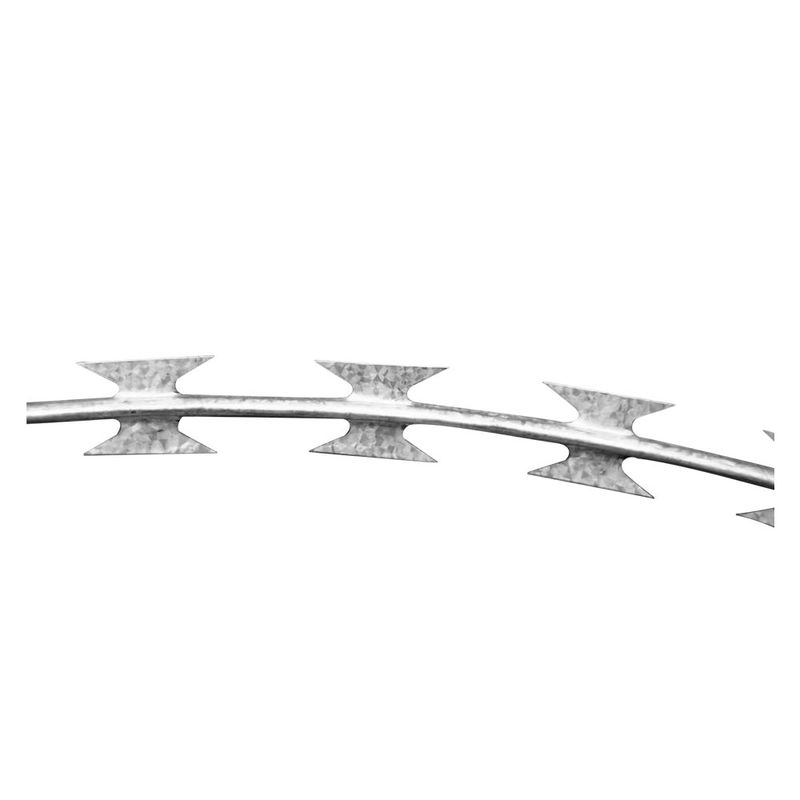 1356069-2.jpg