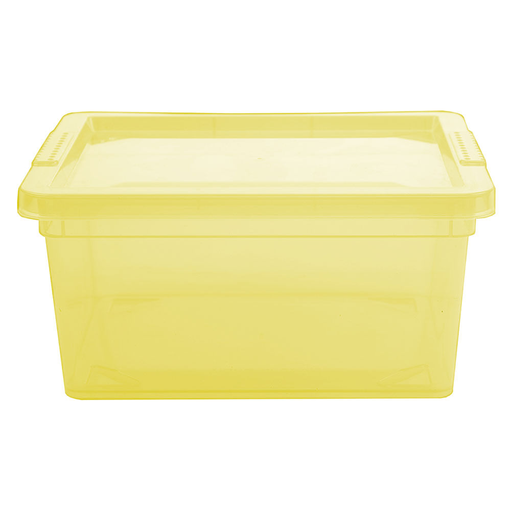 Caja Organizadora Lima Plástico 2 Lt Hacks & Racks