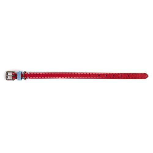 Collar para Perros M Rojo/Azul Pet's Fun